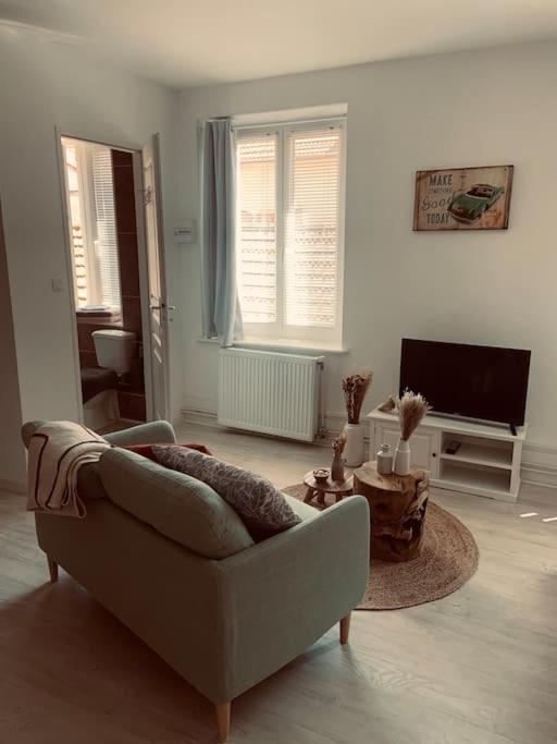 Studio Girafe, Style Boheme Et Atypique, Curistes Luxeuil-les-Bains Exterior photo